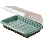 piclumen-1739495994005